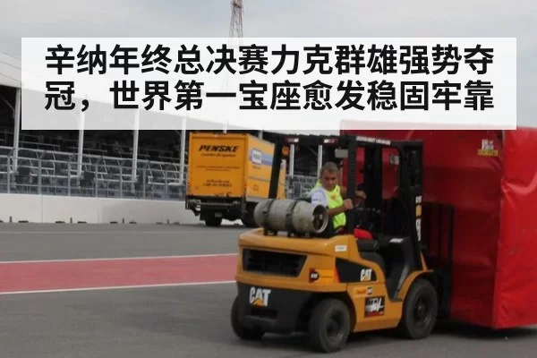 辛纳年终总决赛力克群雄强势夺冠，世界第一宝座愈发稳固牢靠